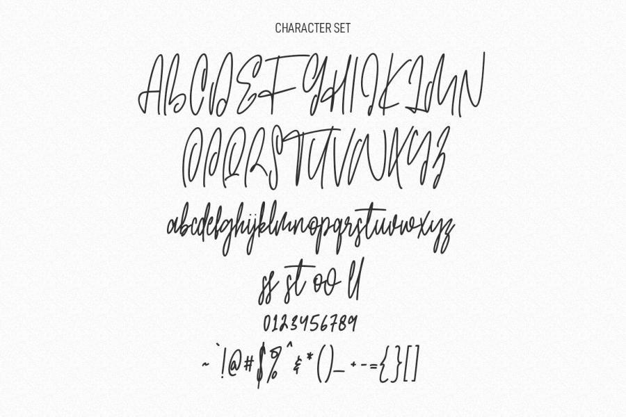 ysz-201158 Jim-Holly-Signature-Script-Fontz3.jpg
