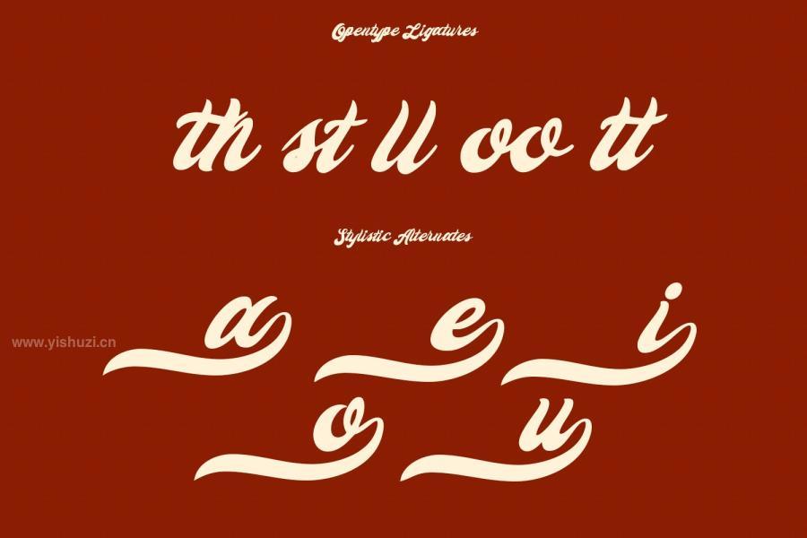 ysz-201160 Neillo-Retro-Script-Fontz11.jpg