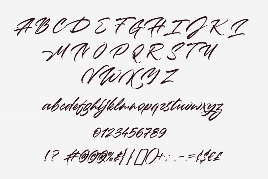 ysz-201162 Jericho-Script-Fontz12.jpg