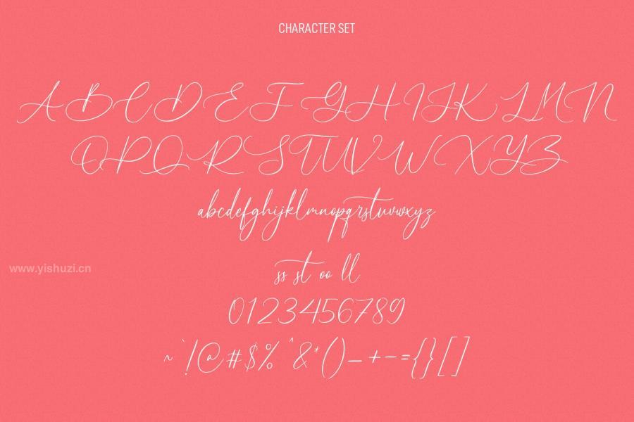 ysz-201187 Rolwlercones-Script-Fontz8.jpg