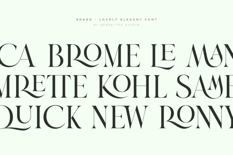 ysz-201217 Brand---Lovely-Elegant-Fontz8.jpg