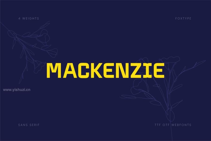 ysz-201220 Mackenzie-Display-Typefacez2.jpg