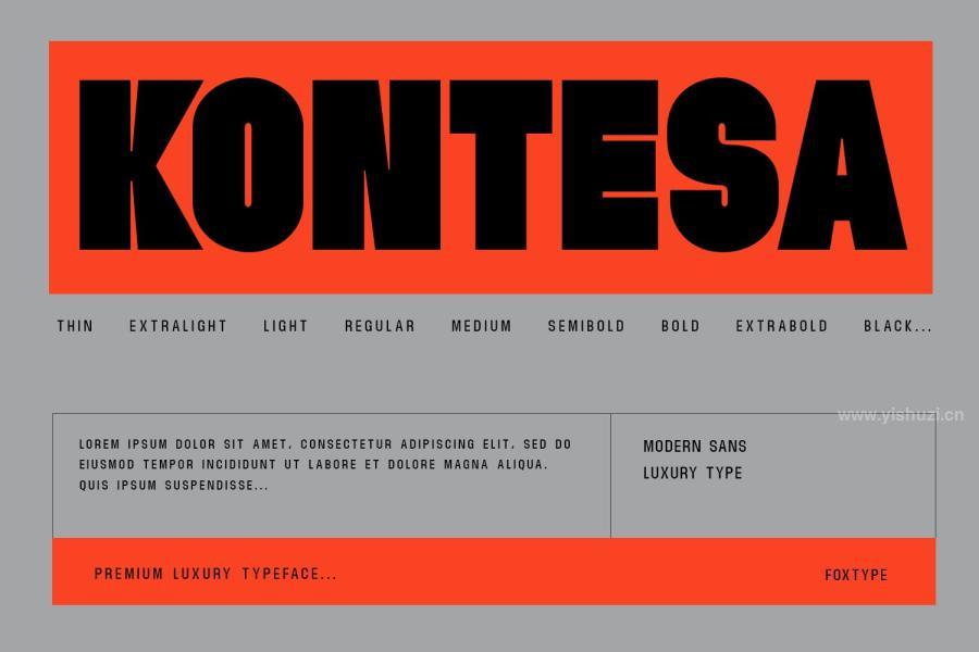 ysz-201224 Kontesa-Display-Typefacez2.jpg