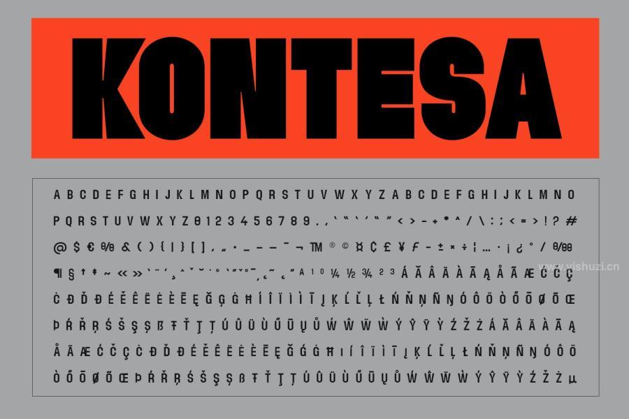 ysz-201224 Kontesa-Display-Typefacez5.jpg