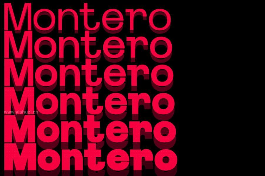 ysz-201225 Montero-Display-Typefacez5.jpg