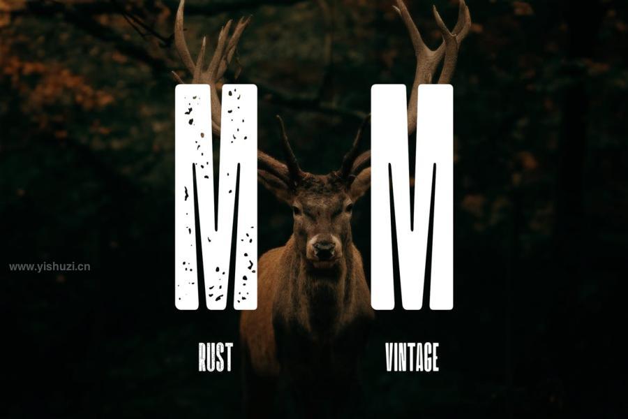 ysz-201240 DTF-Millenium-Vintagez4.jpg