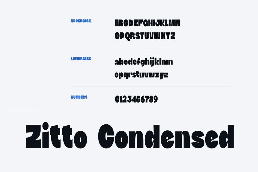 ysz-201244 DTF-Zitto-Condensedz3.jpg