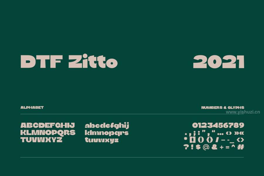 ysz-201245 DTF-Zittoz4.jpg