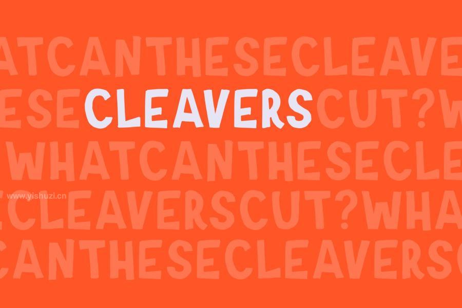 ysz-201246 Cleaversz4.jpg