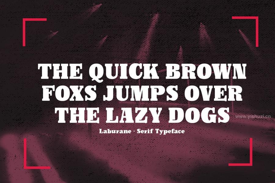 ysz-201260 Laburane---Slab-Serif-Typefacez4.jpg