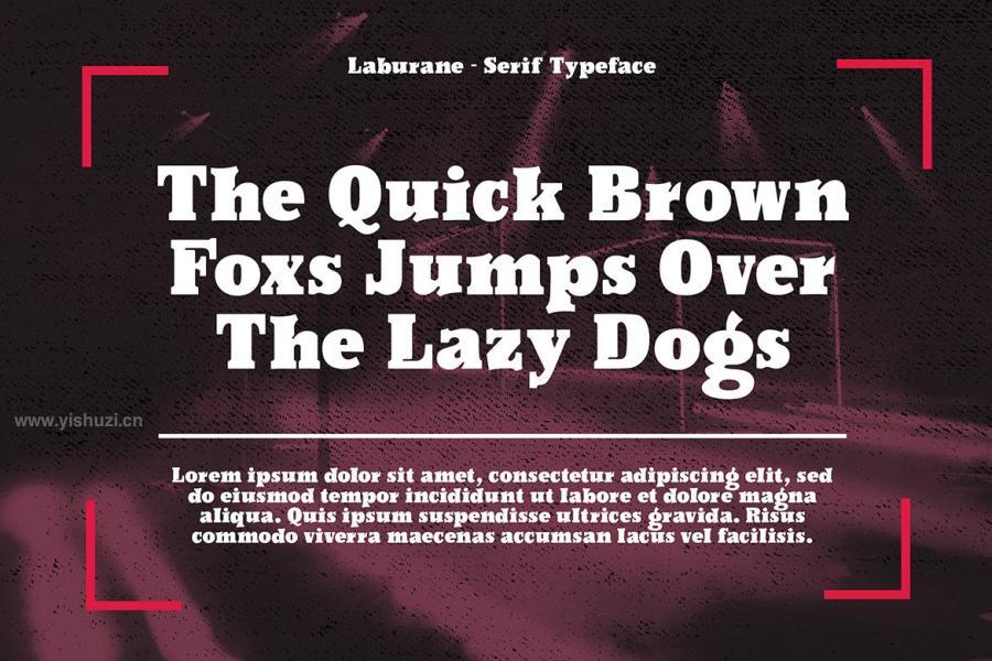 ysz-201260 Laburane---Slab-Serif-Typefacez5.jpg