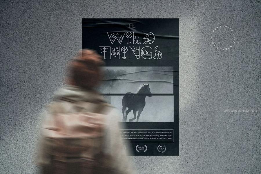 ysz-201271 Wild-Dreams-Display-Fontz10.jpg