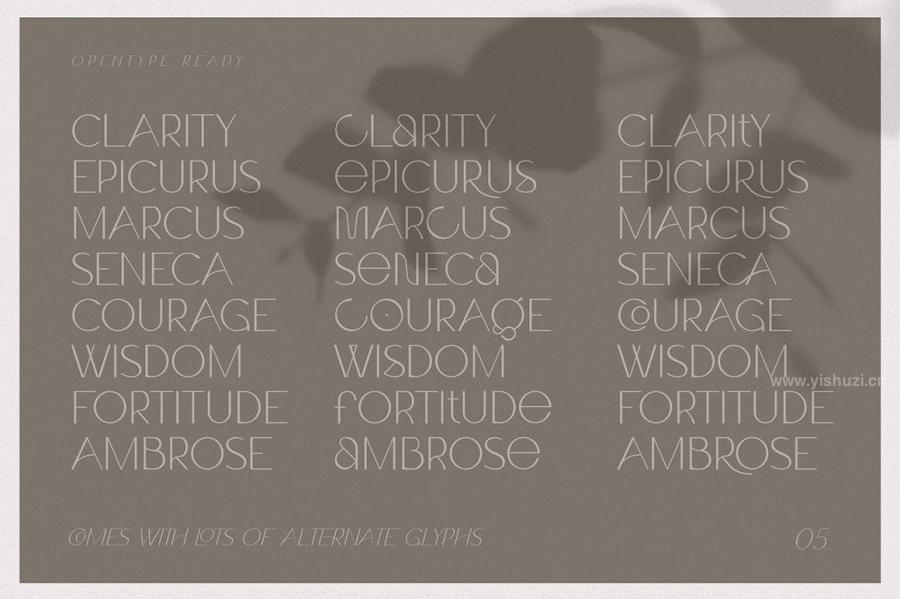 ysz-201273 Claro---Elegant-Font-Familyz15.jpg