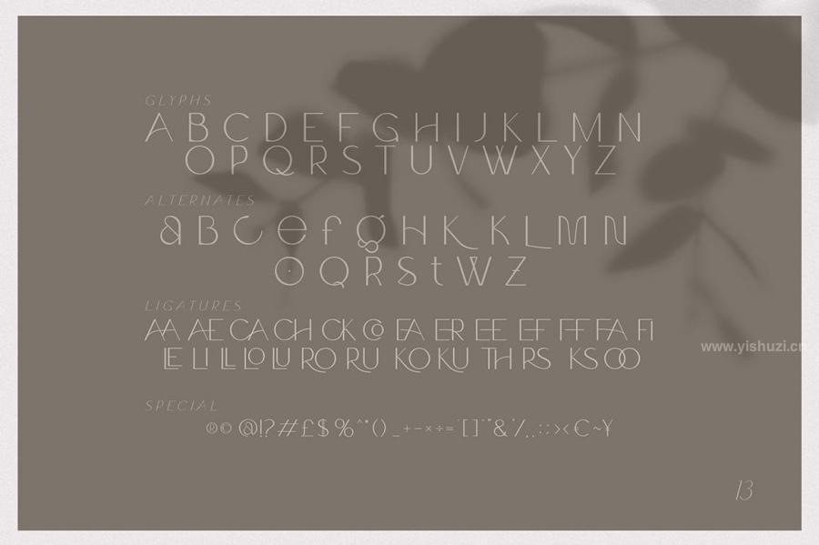 ysz-201273 Claro---Elegant-Font-Familyz8.jpg