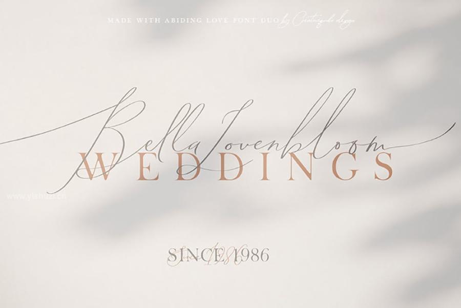 ysz-201287 Abiding-Love-Collection-Fontsz16.jpg