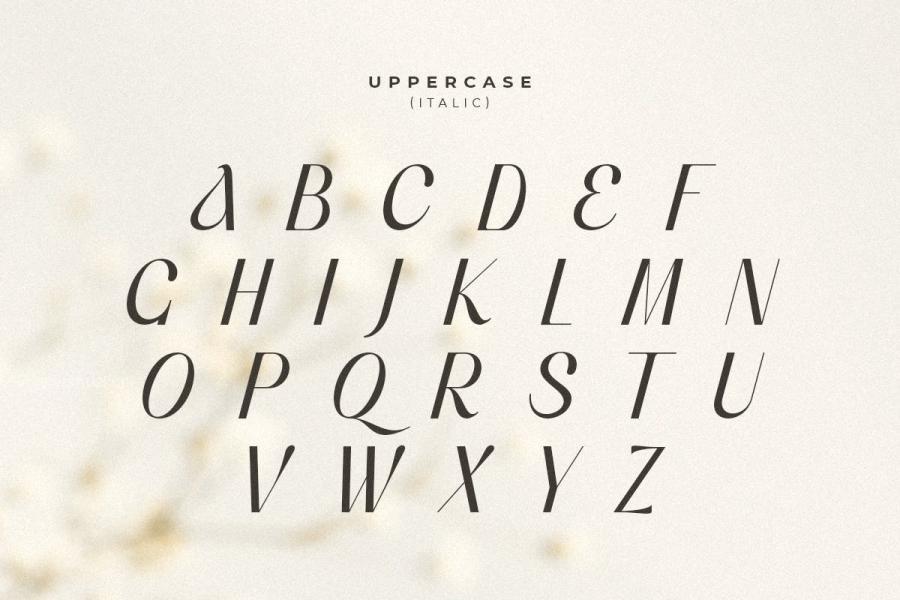 ysz-201314 Voyage---Modern-Classy-Serif-Fontz13.jpg