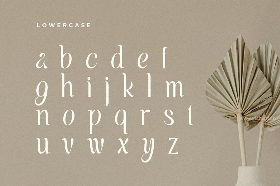 ysz-201314 Voyage---Modern-Classy-Serif-Fontz16.jpg