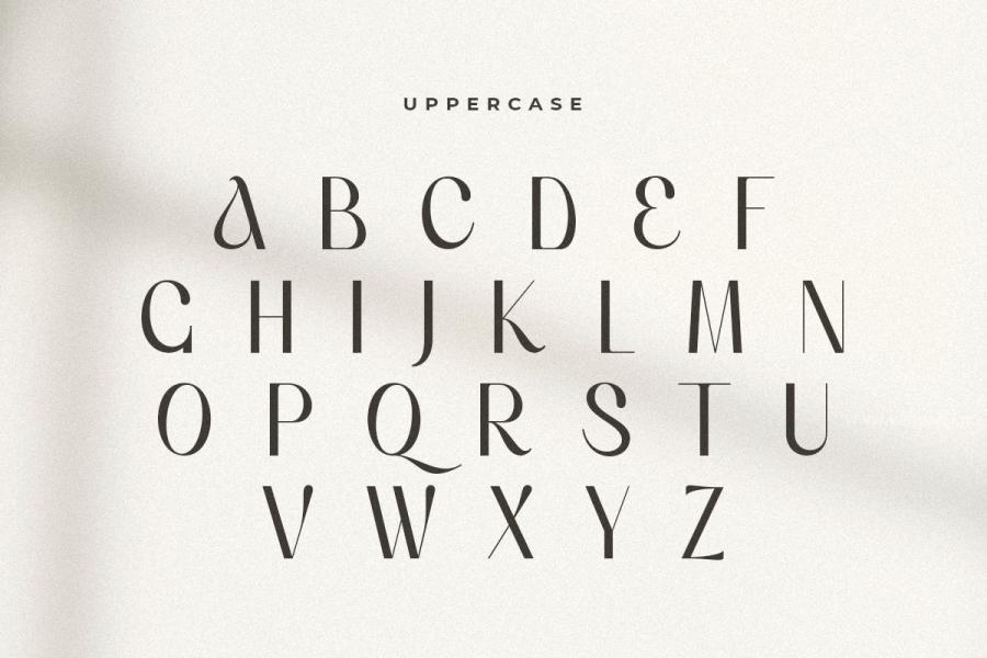 ysz-201314 Voyage---Modern-Classy-Serif-Fontz5.jpg