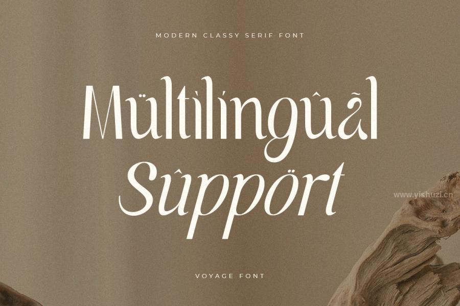 ysz-201314 Voyage---Modern-Classy-Serif-Fontz6.jpg
