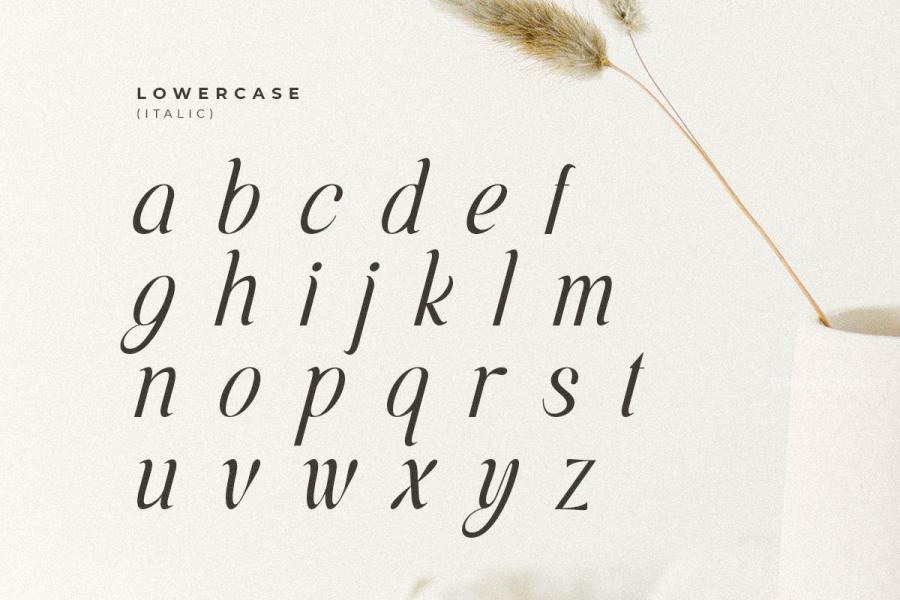 ysz-201314 Voyage---Modern-Classy-Serif-Fontz7.jpg