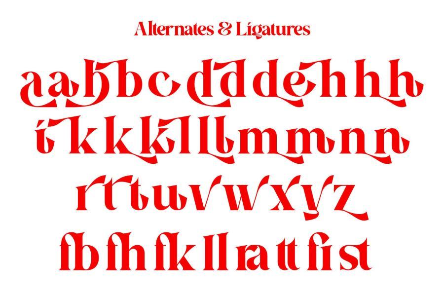 ysz-201319 Aira--Modern-Serif-Typefacez11.jpg