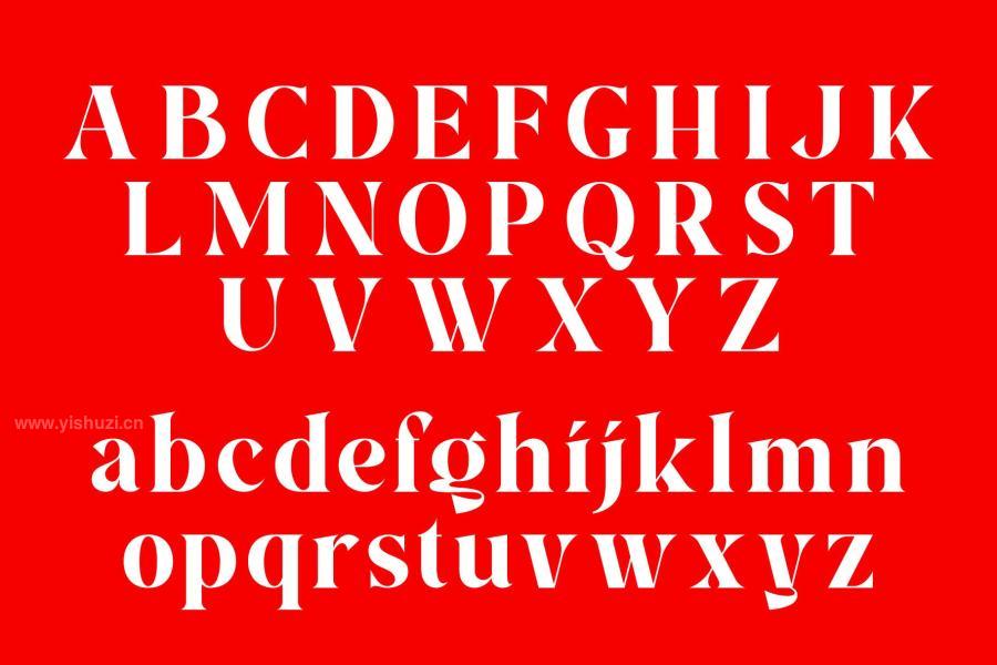 ysz-201319 Aira--Modern-Serif-Typefacez15.jpg
