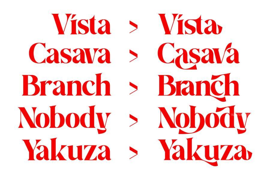 ysz-201319 Aira--Modern-Serif-Typefacez8.jpg