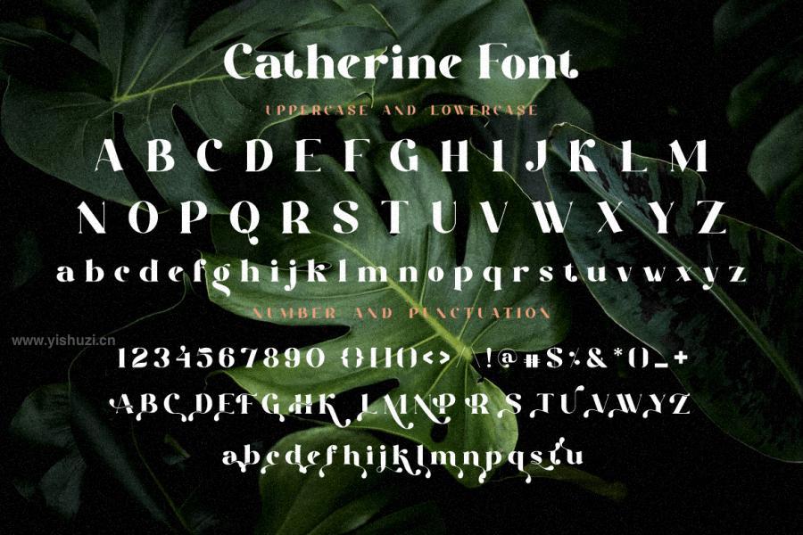 ysz-201321 Catherine-Serif-New-fontz4.jpg