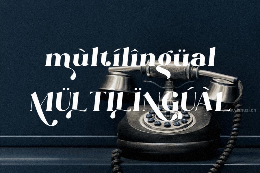 ysz-201321 Catherine-Serif-New-fontz8.jpg