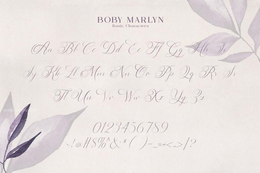 ysz-201332 Boby-Marlyn-Script-Fontz4.jpg