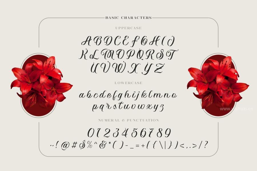 ysz-201334 Vaclice-Script-Fontz14.jpg