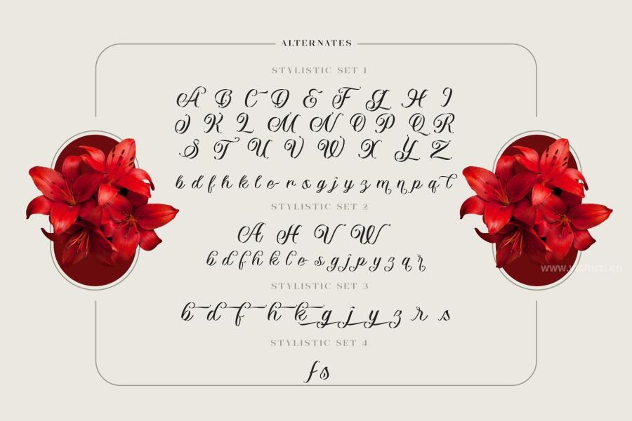 ysz-201334 Vaclice-Script-Fontz15.jpg