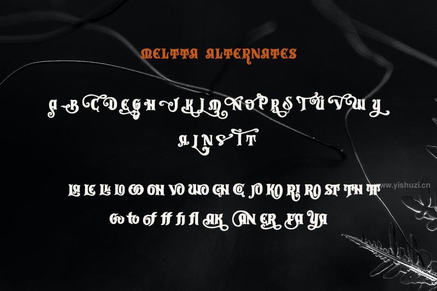 ysz-201340 Meltta-Typefacez14.jpg