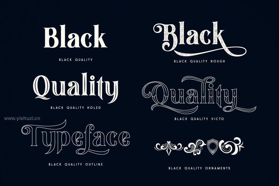 ysz-201343 Black-Quality-Typefacez3.jpg