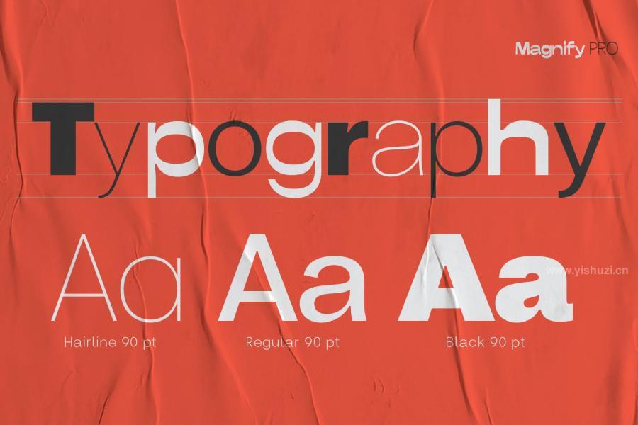 ysz-201395 Magnify-Proz13.jpg