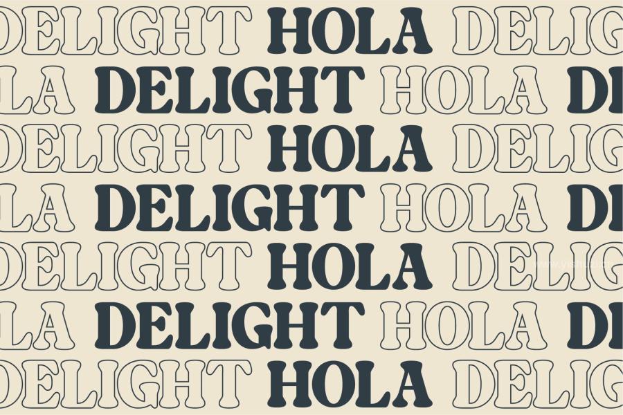 ysz-201411 Hola-Delight-serif-fontz12.jpg