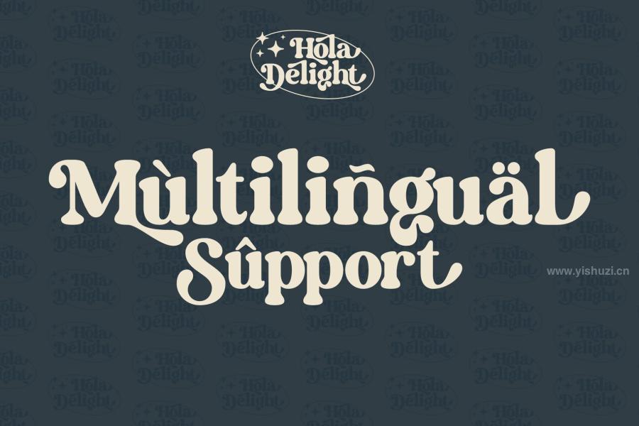 ysz-201411 Hola-Delight-serif-fontz7.jpg