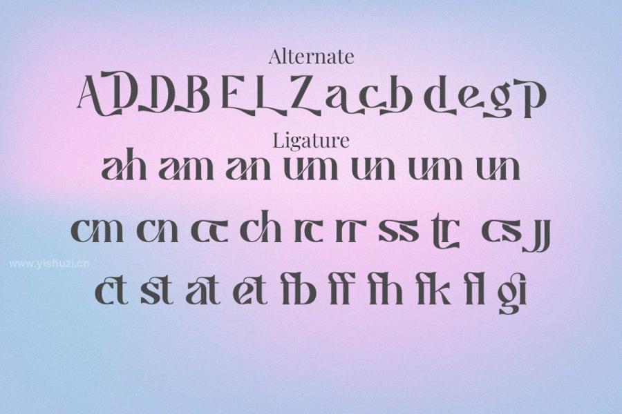 ysz-201414 Caustics-Modern-Serif-Typefacez13.jpg
