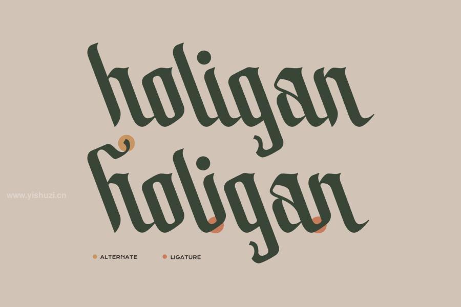 ysz-201421 Bolliamih---Modern-Calligraphy-Fontz3.jpg
