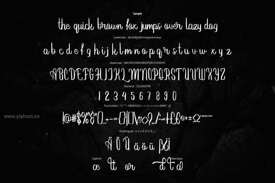 ysz-201426 Pettora--Bold-Script-Fontz5.jpg