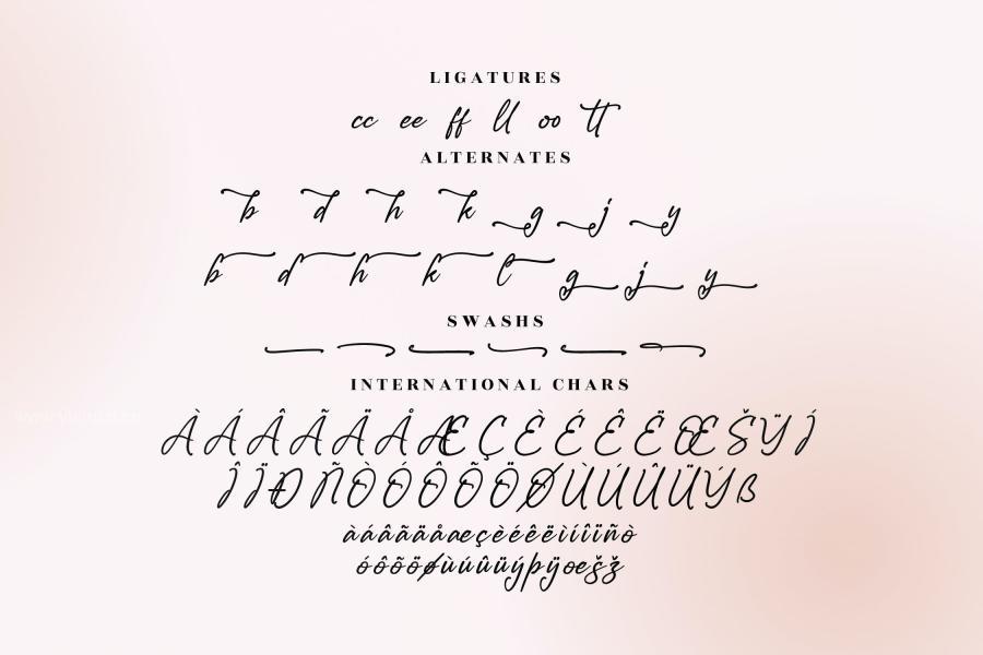 ysz-200716 Modern-Script-Fontz9.jpg