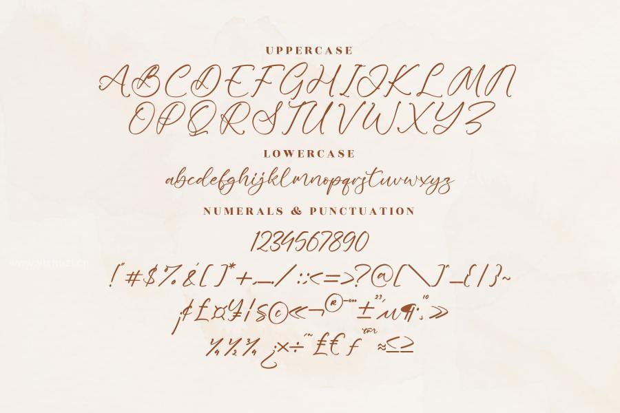 ysz-200718 Meredith-Elegant-Script-Fontz8.jpg