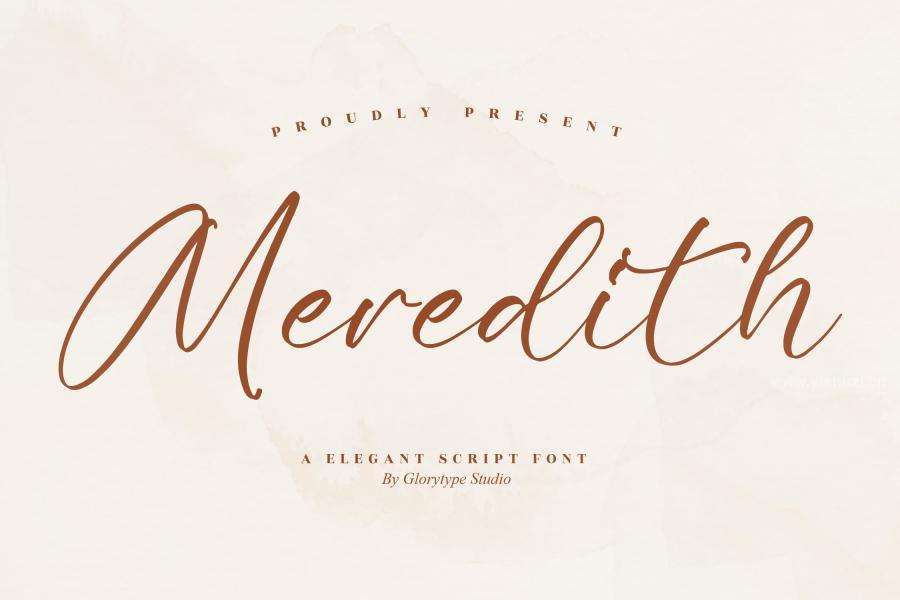 ysz-200718 Meredith-Elegant-Script-Fontz9.jpg