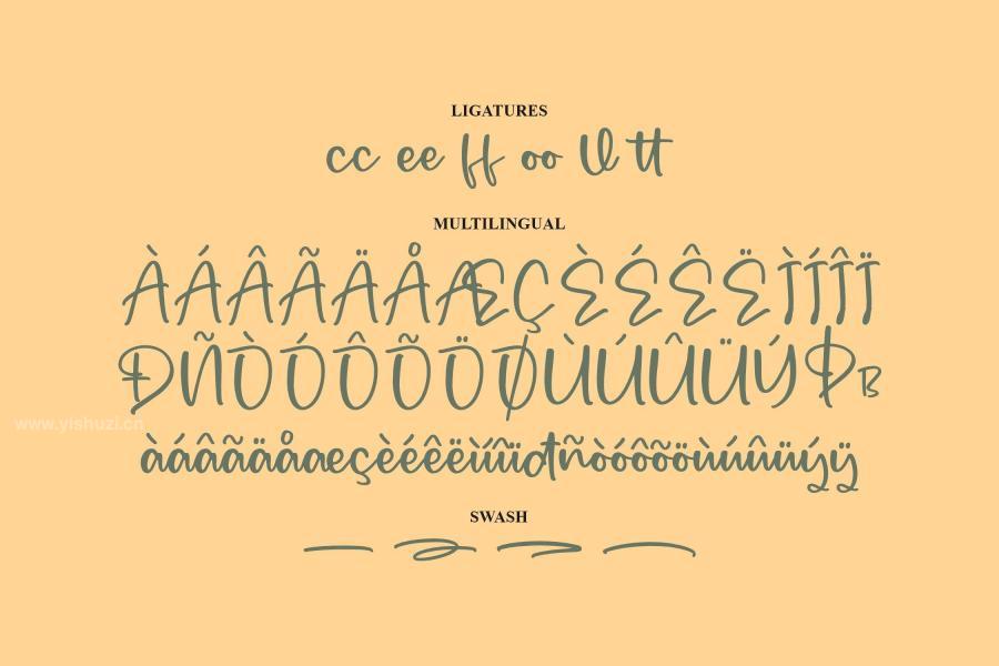 ysz-200724 Mergolla-Script-Fontz11.jpg