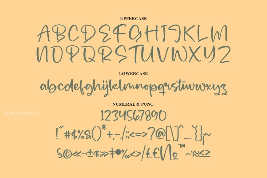 ysz-200724 Mergolla-Script-Fontz4.jpg