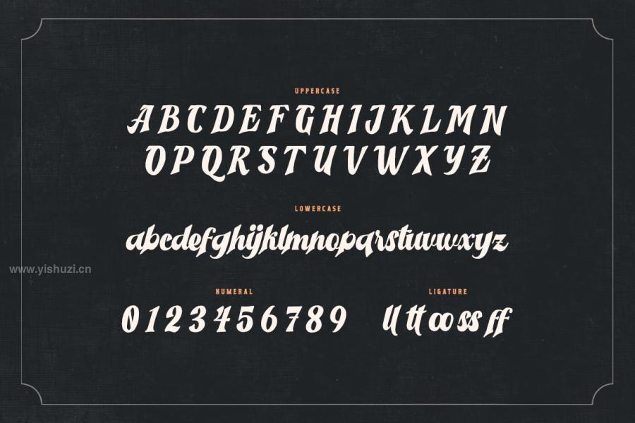 ysz-200730 Allegata---Vintage-Script-Typefacez8.jpg