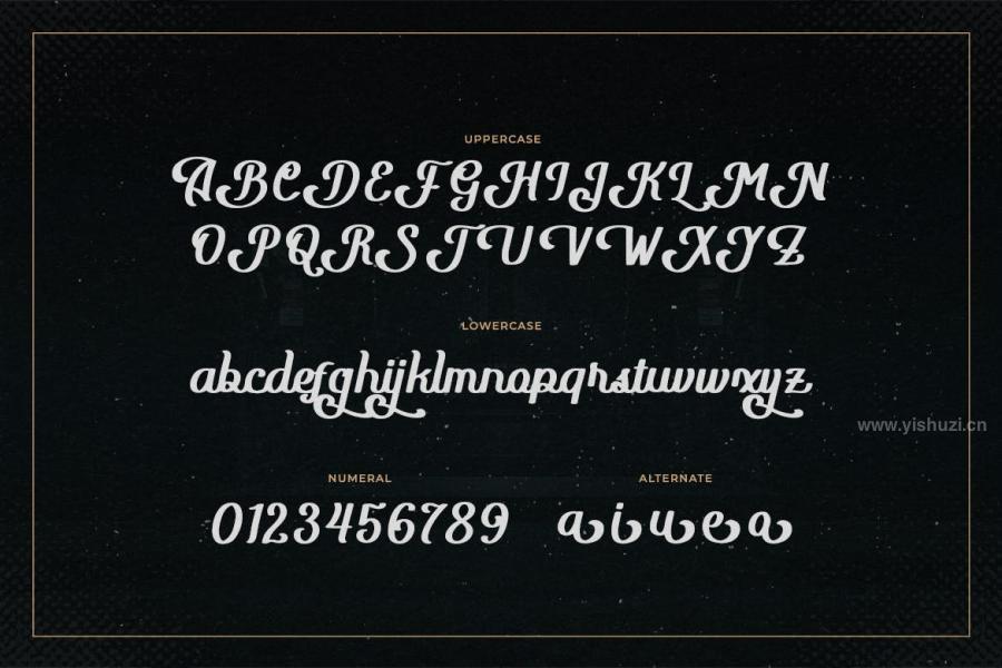 ysz-200732 Blacklight---A-Vintage-Script-Fontz7.jpg