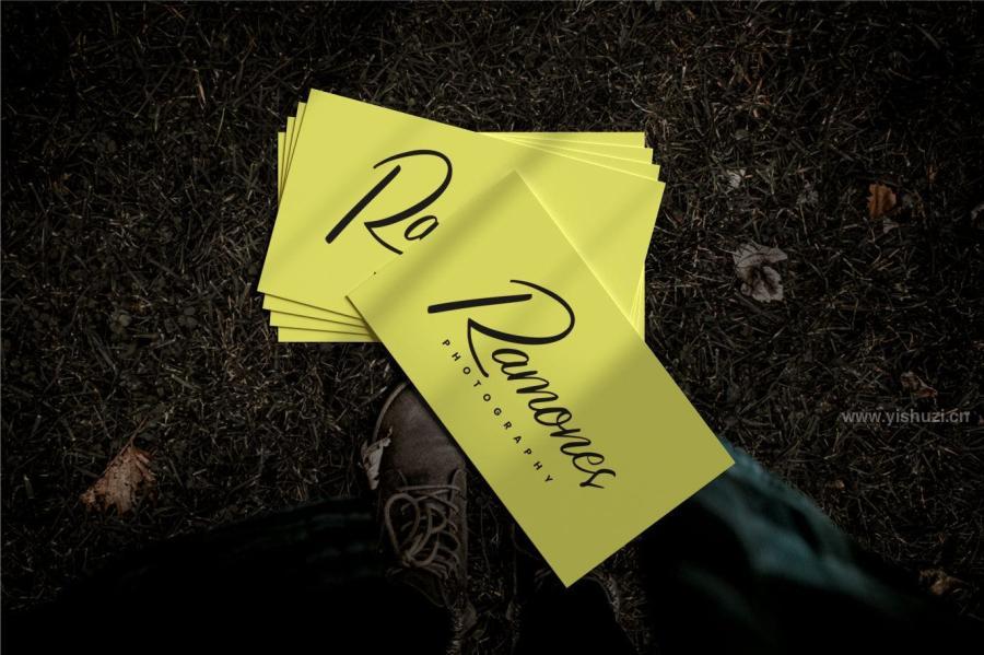 ysz-200736 The-Roch-Noos-Modern-Script-Fontz5.jpg