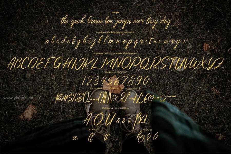 ysz-200736 The-Roch-Noos-Modern-Script-Fontz6.jpg