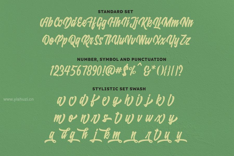 ysz-200945 Raydric-Script-with-Shadow-outlinez4.jpg